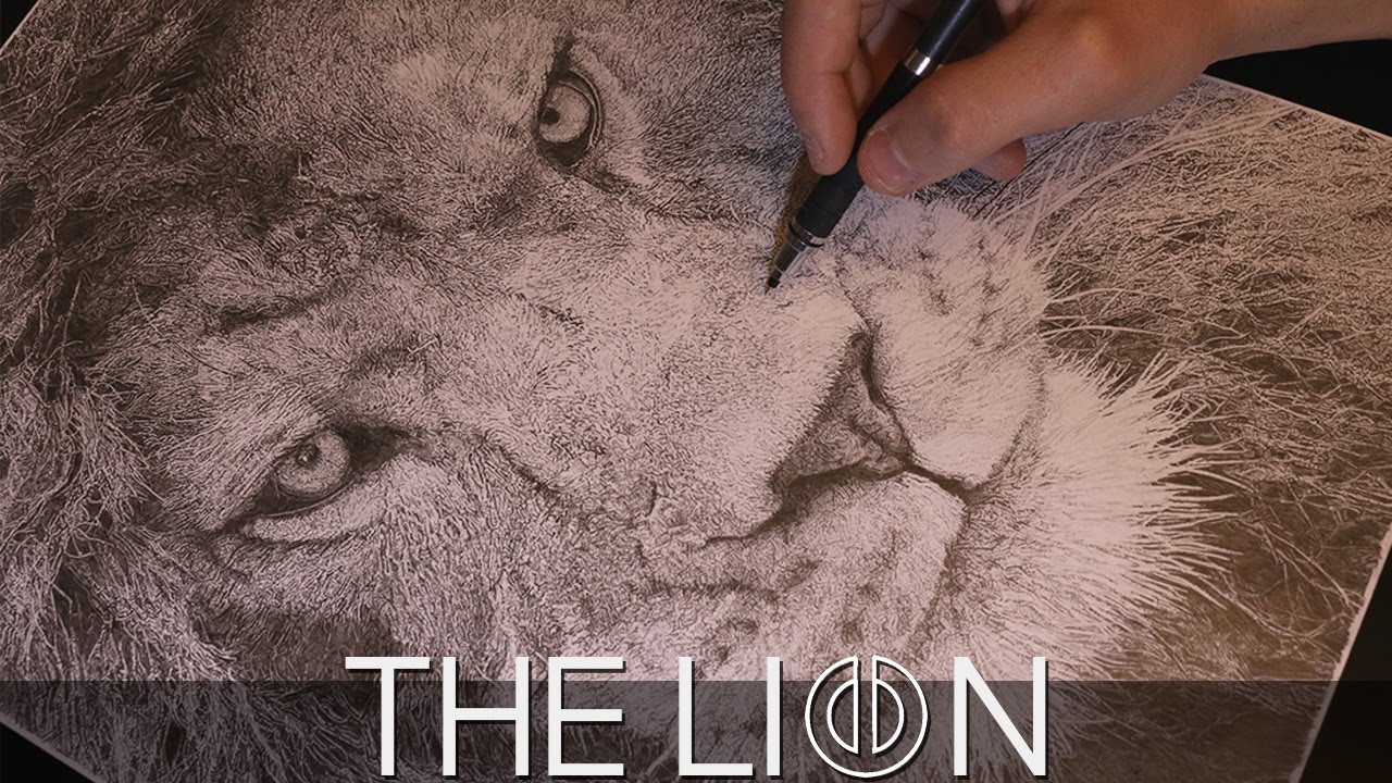 1280x720 Lion Drawing Time Lapse - Realistic Lion Sketch