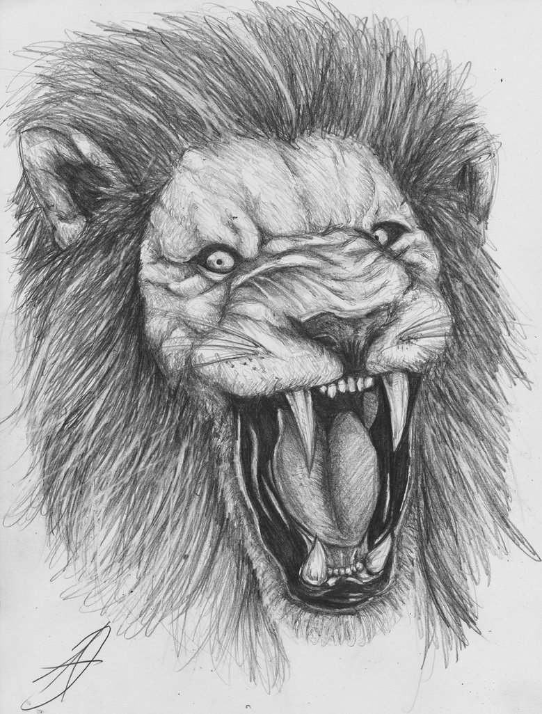 779x1026 New How To Sketch A Lion Face - Realistic Lion Sketch