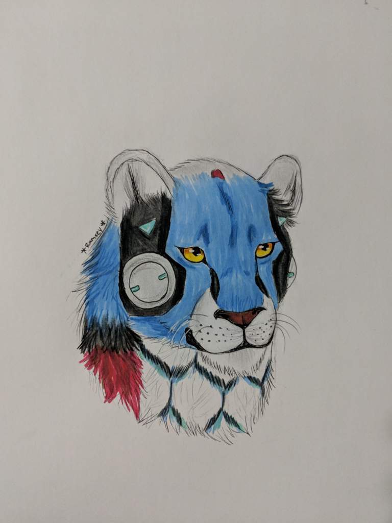 768x1024 Realistic Blue Lion Sketch 3 Voltron Amino - Realistic Lion Sketch