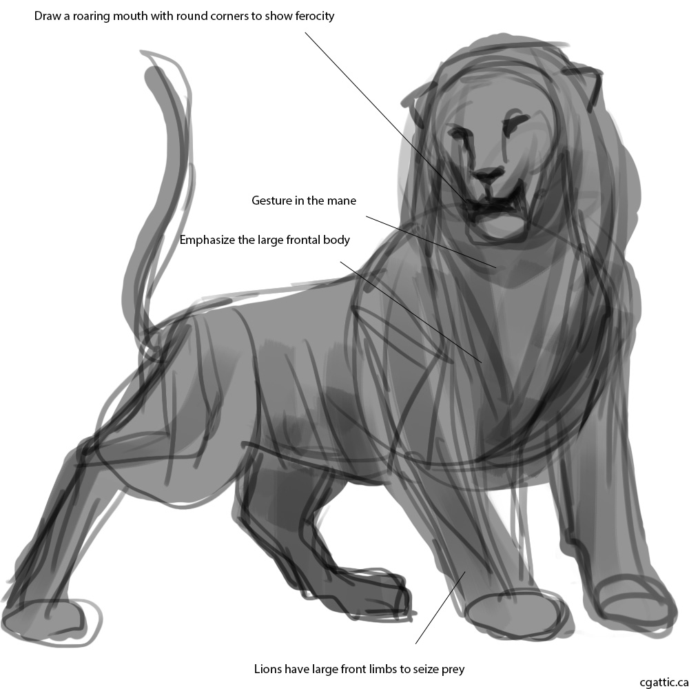 1000x1000 Realistic Lion Drawing In 4 Steps With Photoshop - Realistic Lion Sketch