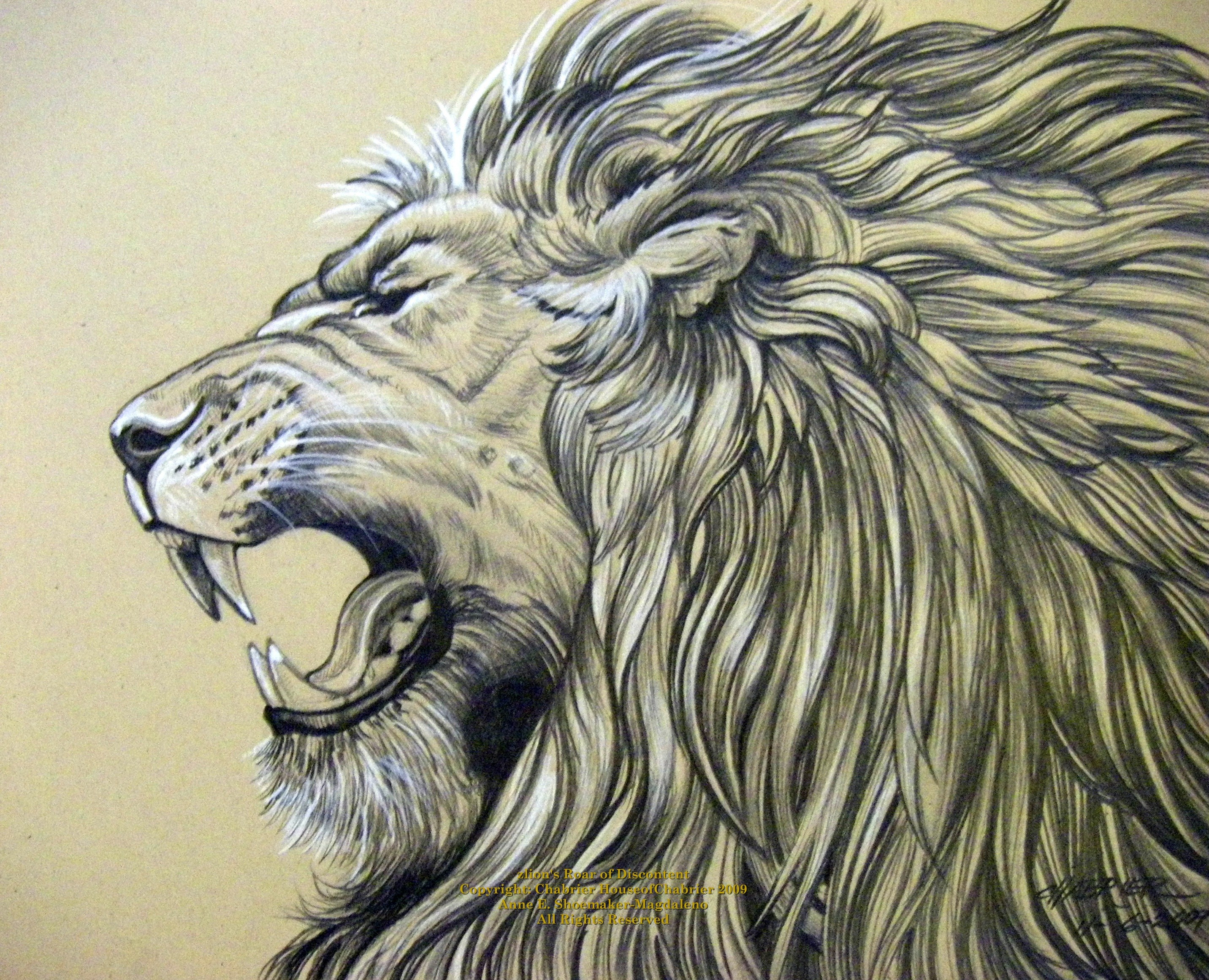 2864x2321 Realistic Lion Drawing - Realistic Lion Sketch