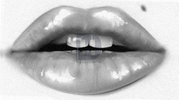 693x390 How To Draw Real Lips, Step By Step, Drawing Guide, By Darkonator - Realistic Lip Sketch