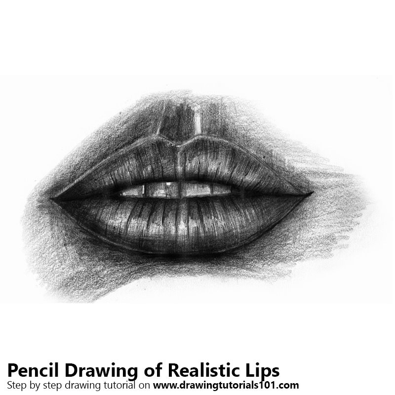 800x800 Realistic Lips Pencil Drawing - Realistic Lip Sketch