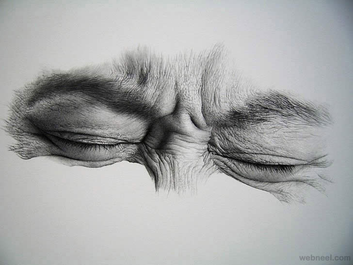 728x546 Realistic Pencil Drawing By Kimjihoon 12 - Realistic Pencil Sketch