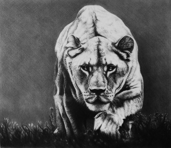 600x519 30 Amazing Realistic Pencil Drawings - Realistic Pencil Sketch