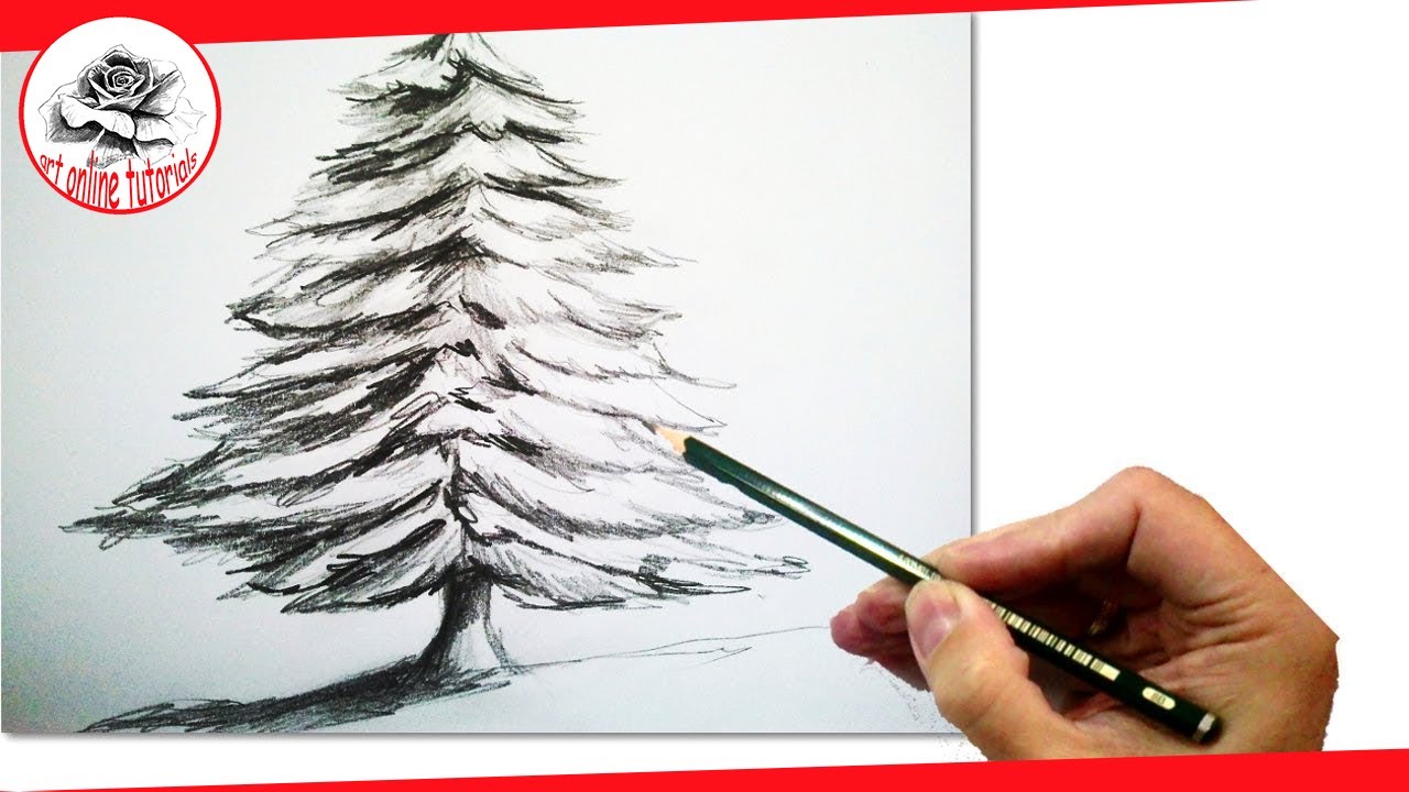 1280x720 How To Draw A Realistic Christmas Tree With Pencil - Realistic Tree Sketch
