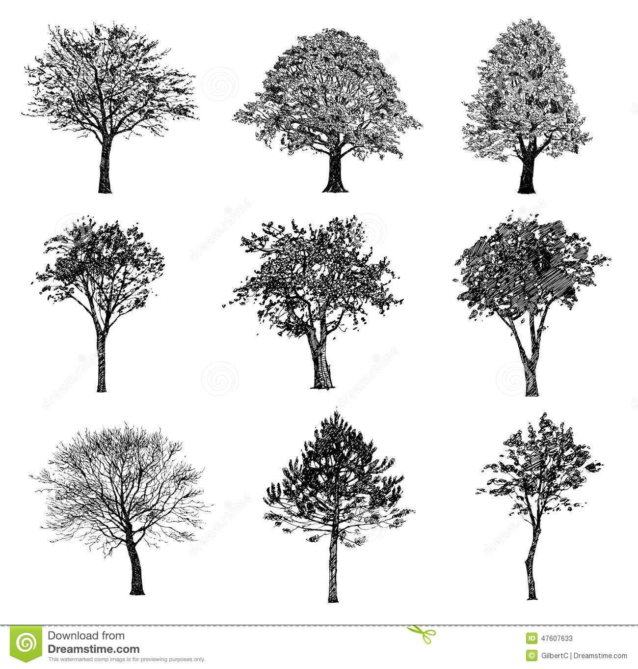 1300x1362 How To Sketch Realistic Trees - Realistic Tree Sketch