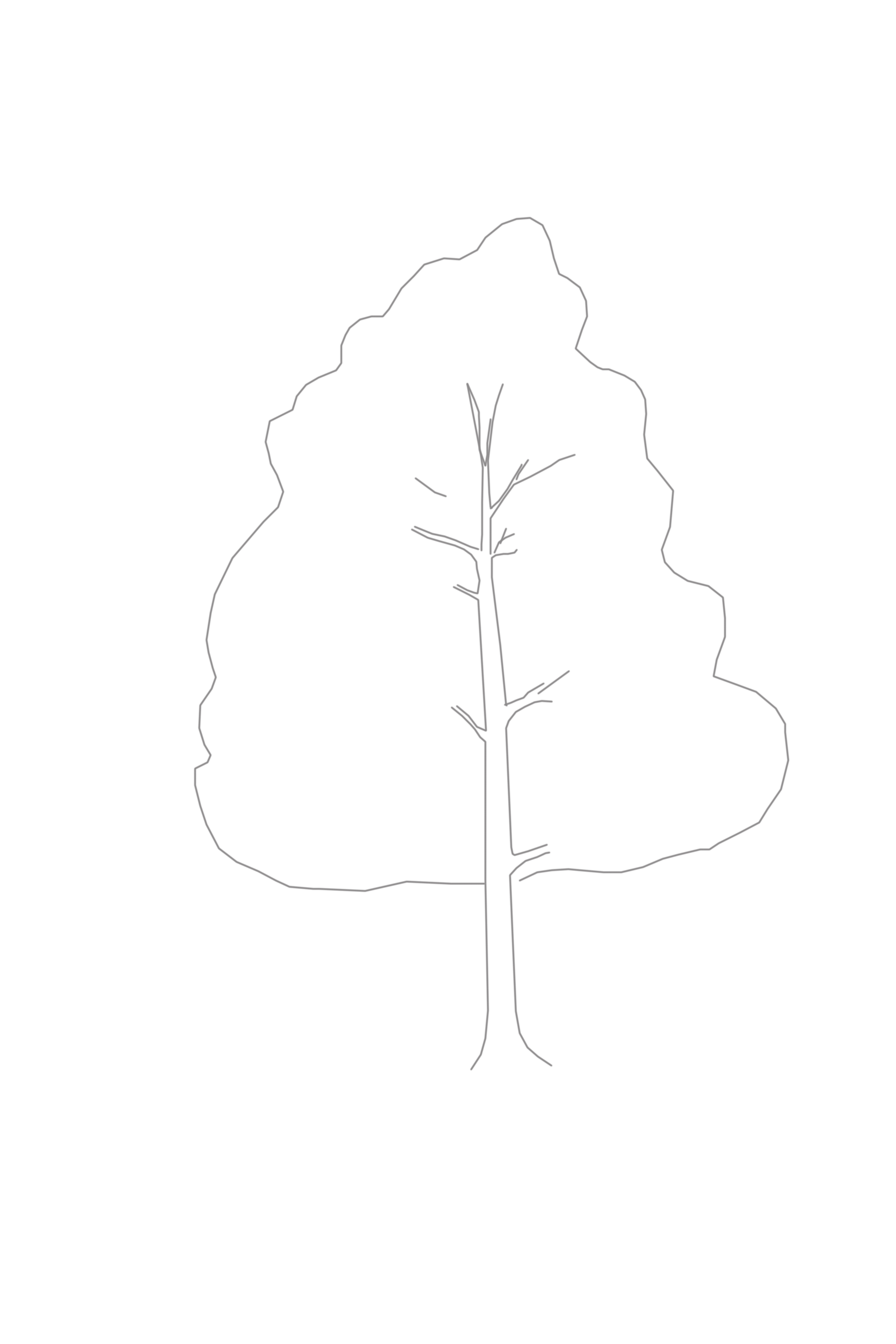 3456x5184 Branching Out Learn How To Draw A Realistic Tree - Realistic Tree Sketch