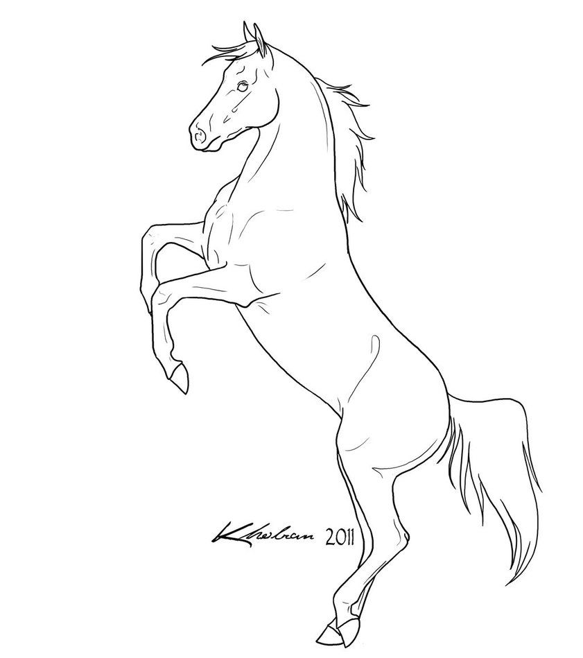 841x949 Pictures Rearing Horse Drawings, - Rearing Horse Sketch