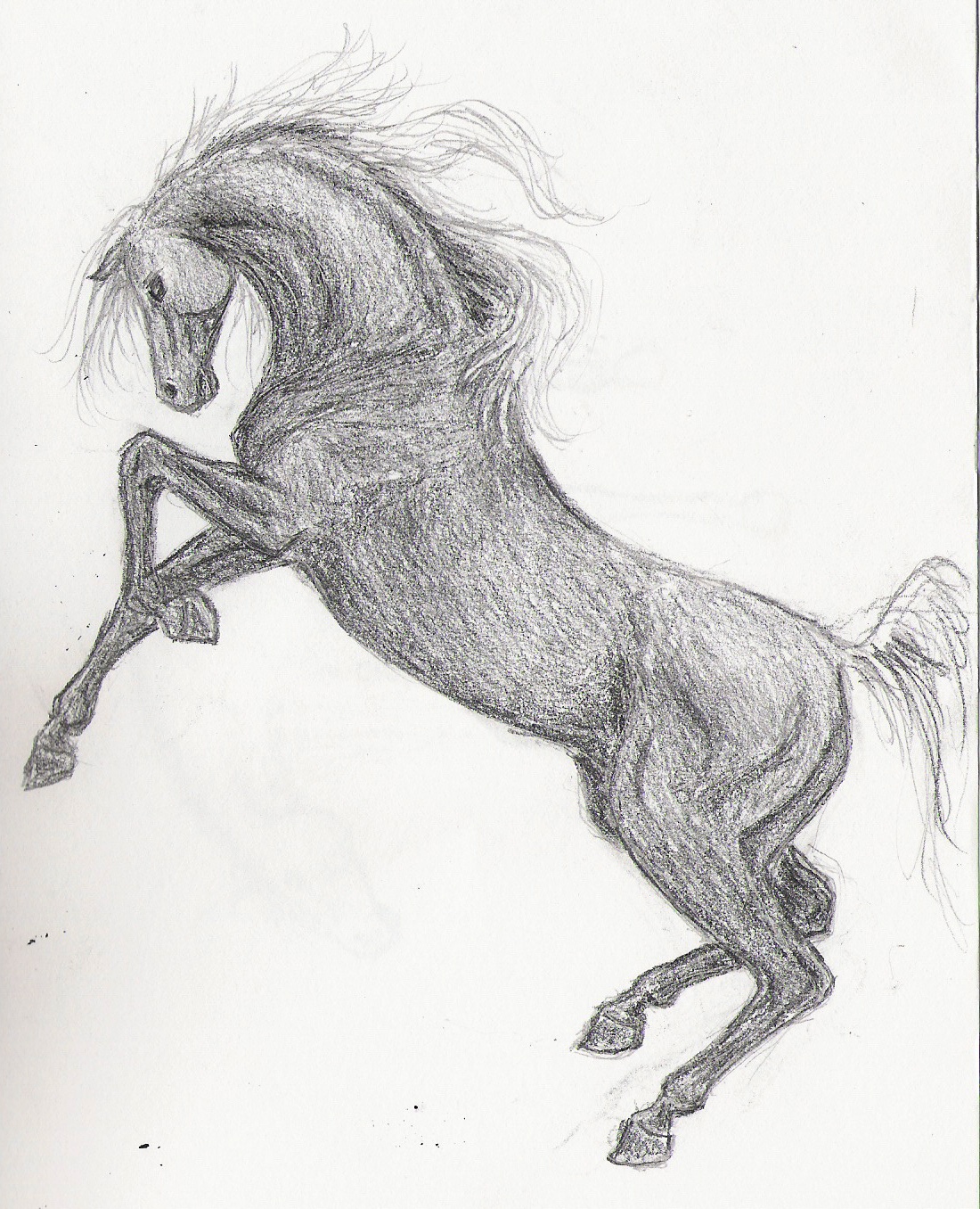 Андалузская лошадь рисунок карандашом