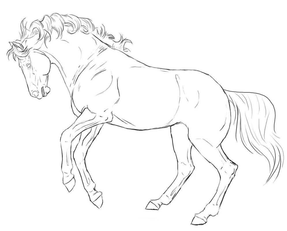 995x802 Rearing Horse Coloring Pages - Rearing Horse Sketch
