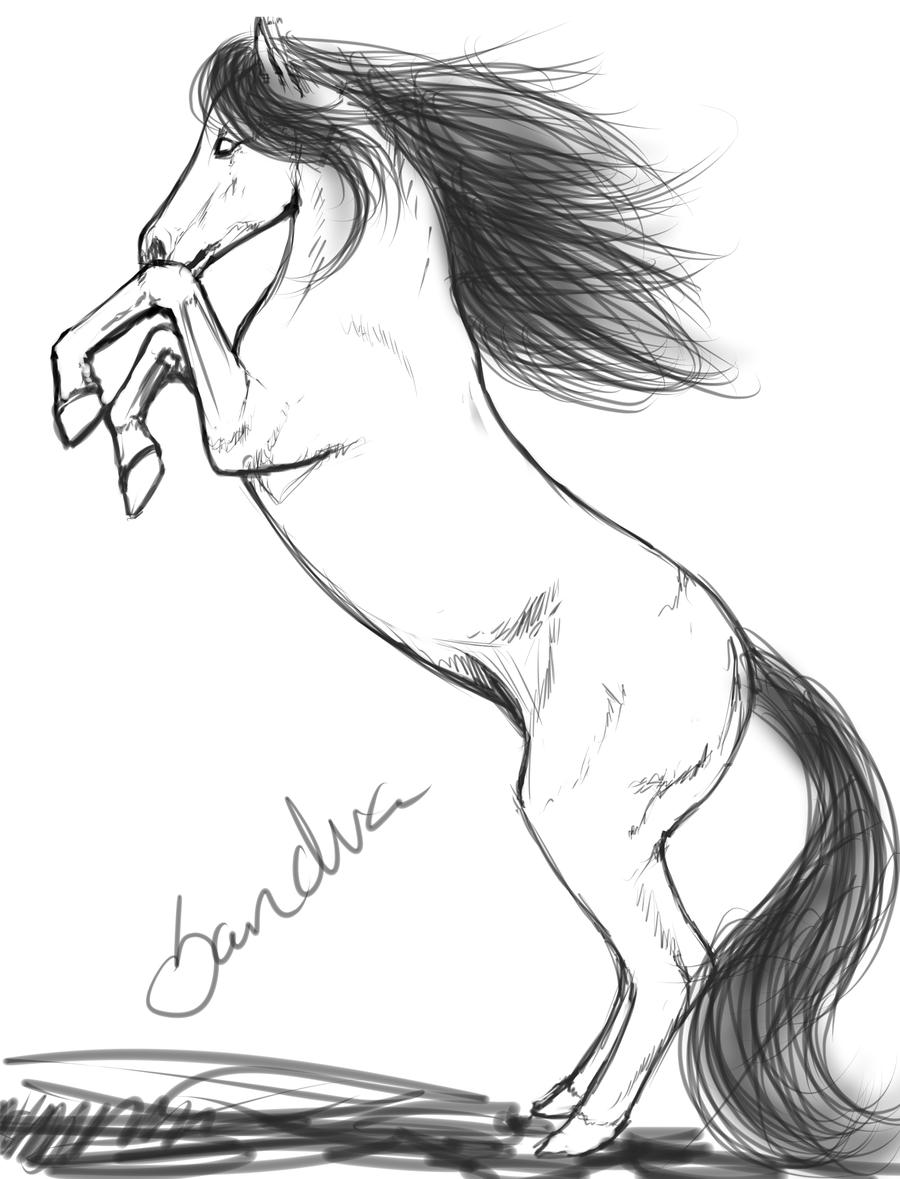 900x1179 Rearing Horse Drawing Picture Drawing Skill - Rearing Horse Sketch
