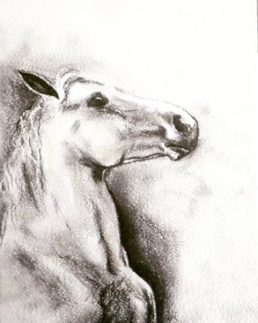 375x468 Rearing Horse Drawings For Sale Saatchi Art - Rearing Horse Sketch