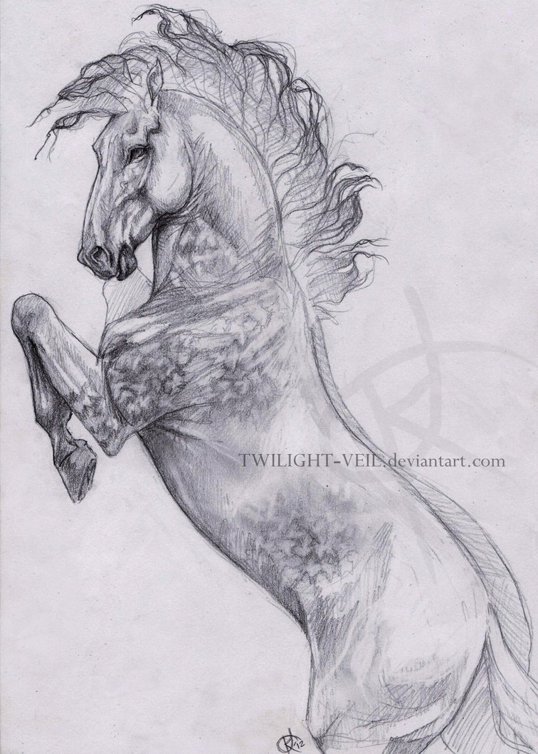 756x1058 Rearing By Twilight Veil - Rearing Horse Sketch