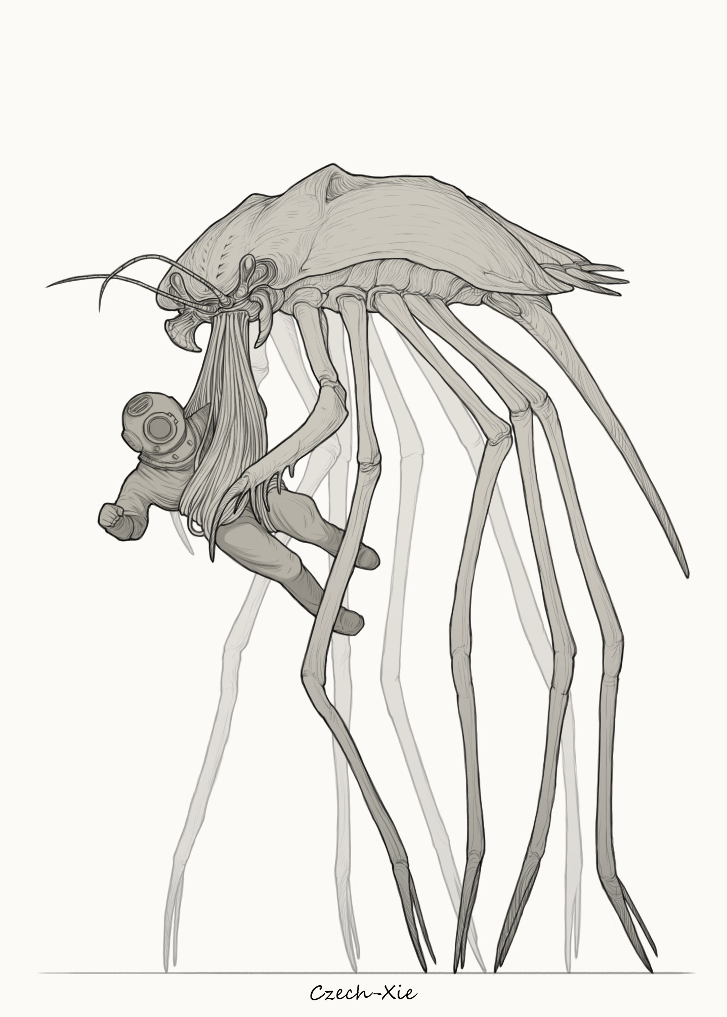 1437x2011 Czech - Record Sketch