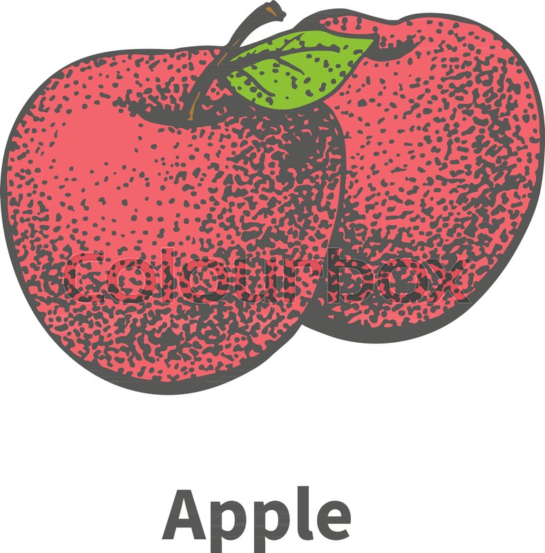 789x800 Vector Illustration Doodle Sketch Hand Drawn Two Ripe Juicy Red - Red Apple Sketch
