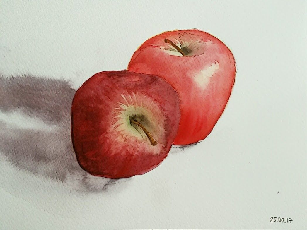 1048x786 Watercolor Red Apples - Red Apple Sketch
