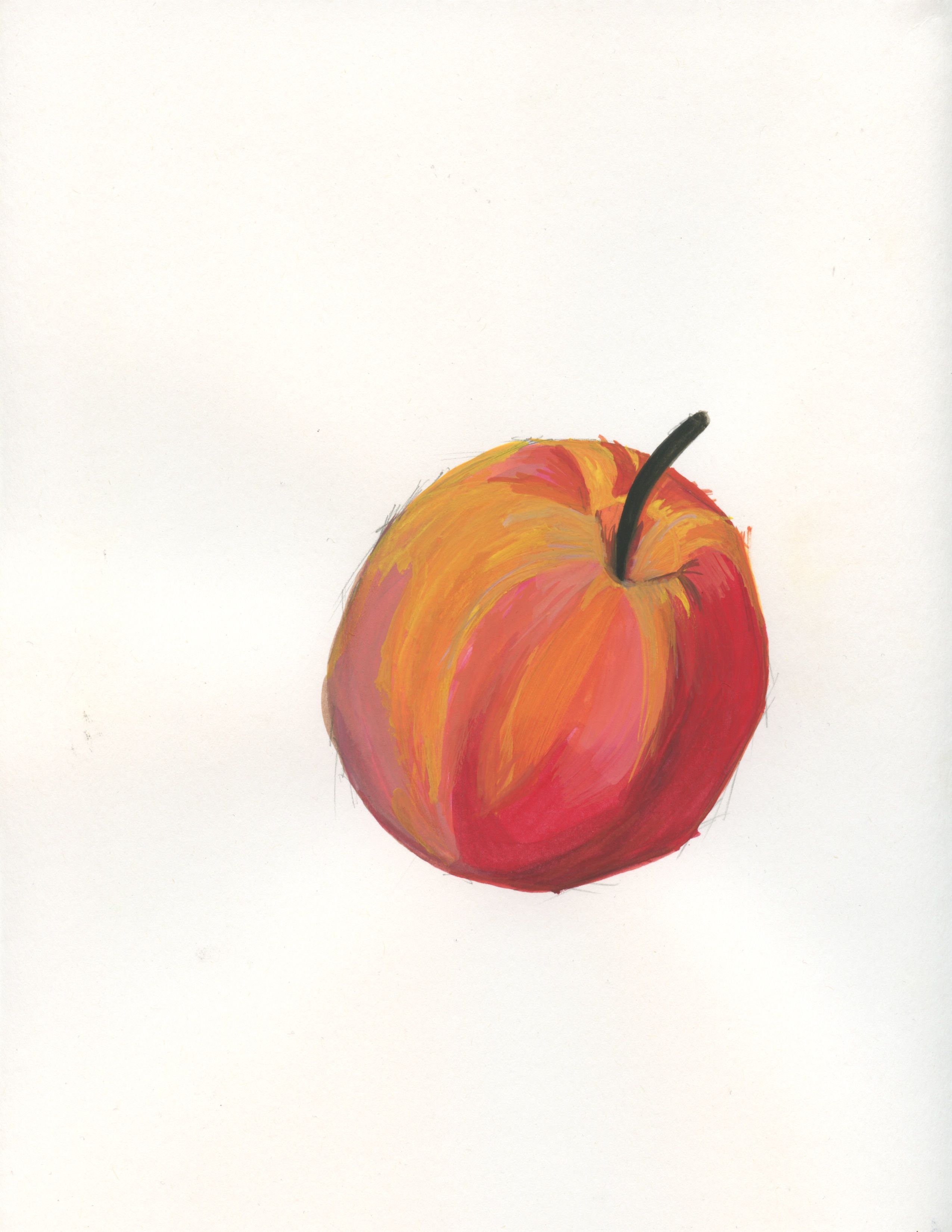 2550x3300 One Color Object Sketch In Different Light Sources Red Apple - Red Apple Sketch