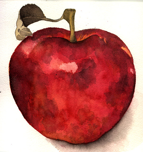 468x500 Red Apple Sketch One Of My Watercolour Sketches Of Fruit - Red Apple Sketch
