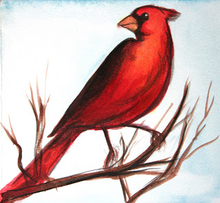 Red Bird Sketch