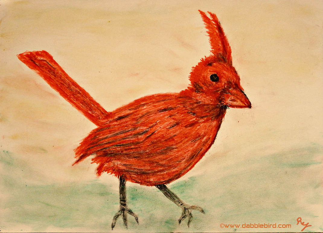 1070x773 Fowl Play Ii - Red Bird Sketch