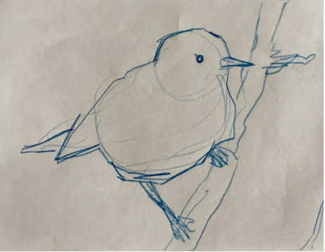 461x357 Big Red Bird Dougbelding - Red Bird Sketch