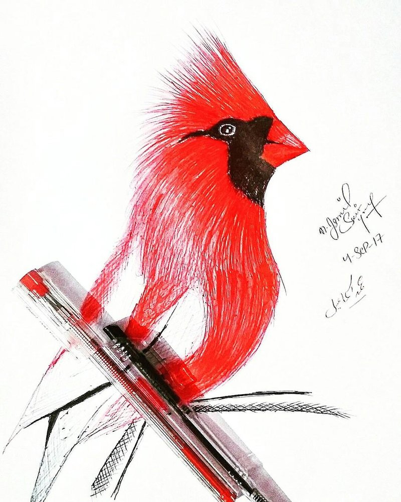 800x1000 Red Bird By Ismailjutt - Red Bird Sketch