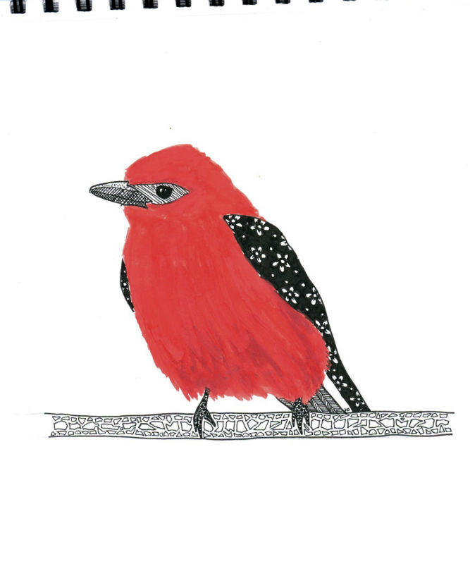 667x800 Red Bird Pet Portraits With A Purpose And Paws4acausedesign - Red Bird Sketch