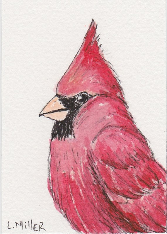 570x798 Cardinal Aceo Original Pen And Ink Watercolor With Magnet Etsy - Red Bird Sketch