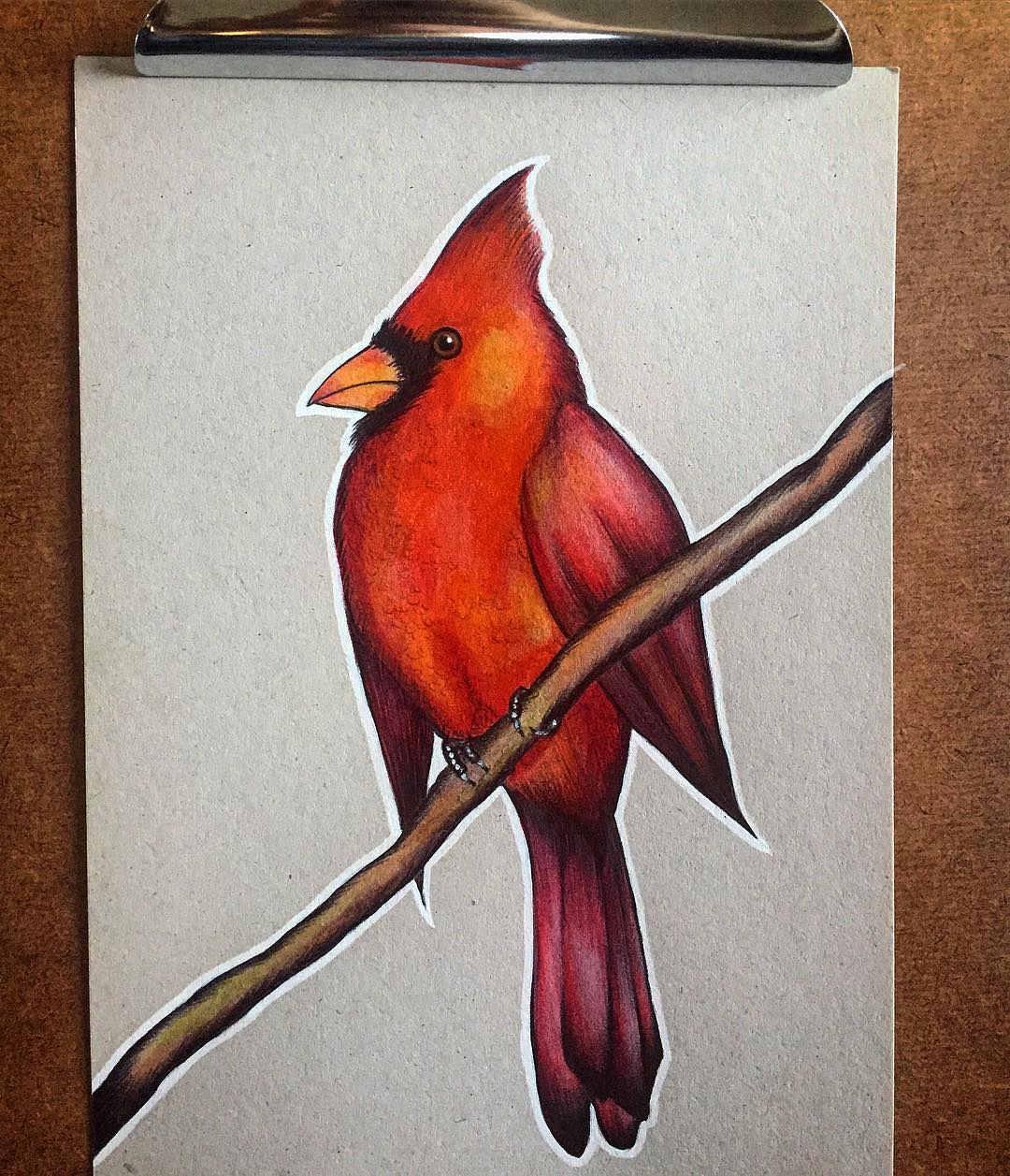 1080x1257 Cardinal - Red Bird Sketch