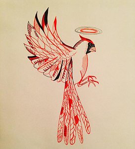 273x300 Cardinal Bird Drawings - Red Bird Sketch