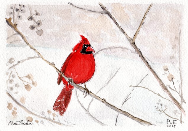 635x441 Cardinal Red Pve Design - Red Bird Sketch
