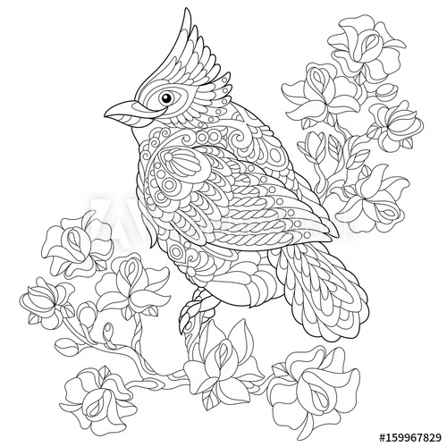 500x500 Coloring Book - Red Bird Sketch