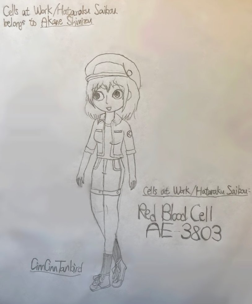 814x981 Red Blood Cell Ae 3803(Hataraku Saibou) By Cinncinntanbird On - Red Blood Cell Sketch