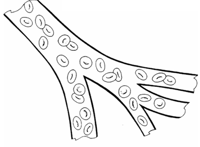 400x295 Red Blood Cell Coloring - Red Blood Cell Sketch