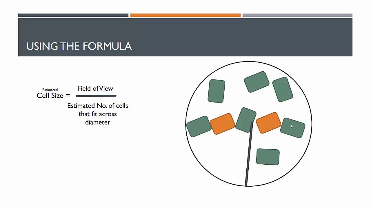 1280x720 Red Draw A Diagram - Red Blood Cell Sketch