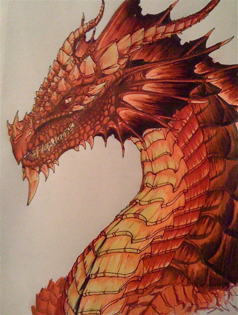 777x1028 Red Dragon By Chaylar Dragon Portraits - Red Dragon Sketch