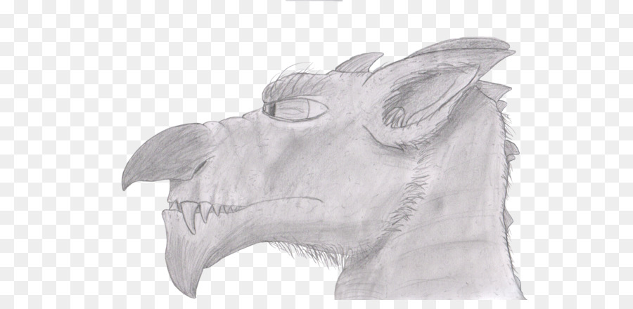 900x440 Welsh Dragon Drawing Sketch - Red Dragon Sketch