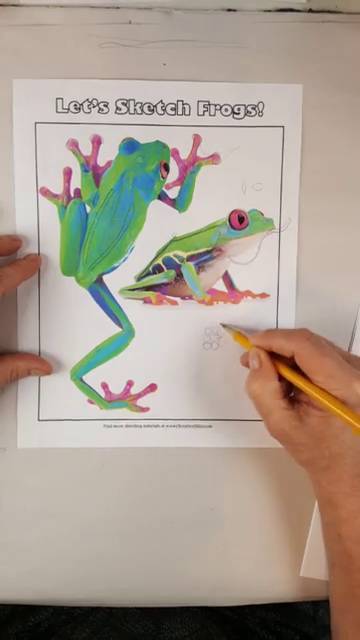 360x640 How To Draw A Red Eyed Tree Frog Plus Fun Facts! - Red Eyed Tree Frog Sketch