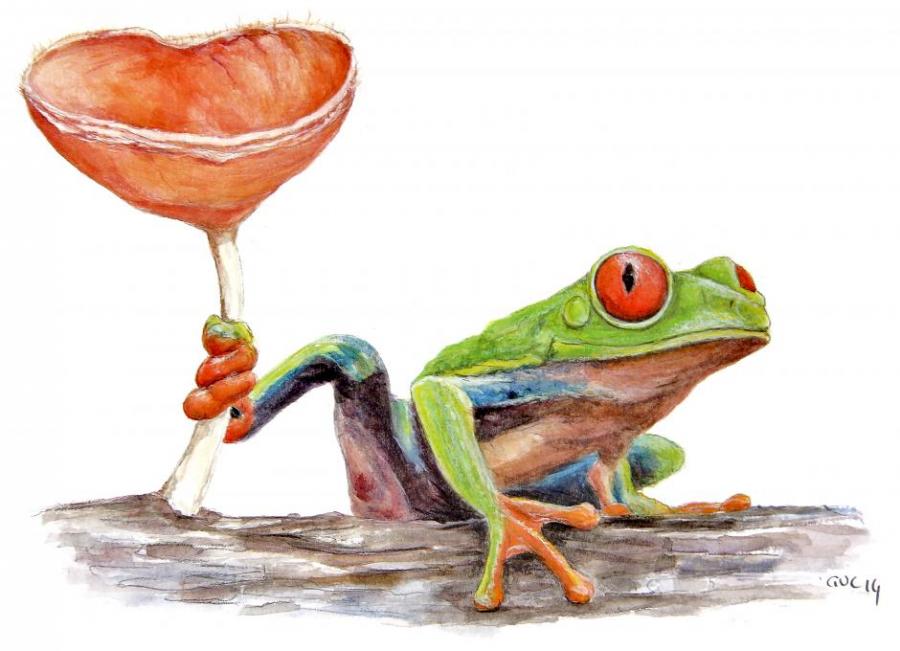 900x651 Red Eyed Tree Frog Amp Fungi . Animals. Drawings. Pictures. Drawings - Red Eyed Tree Frog Sketch