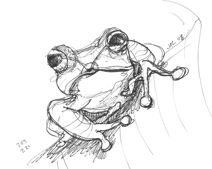 720x576 Red Eyed Treefrog - Red Eyed Tree Frog Sketch