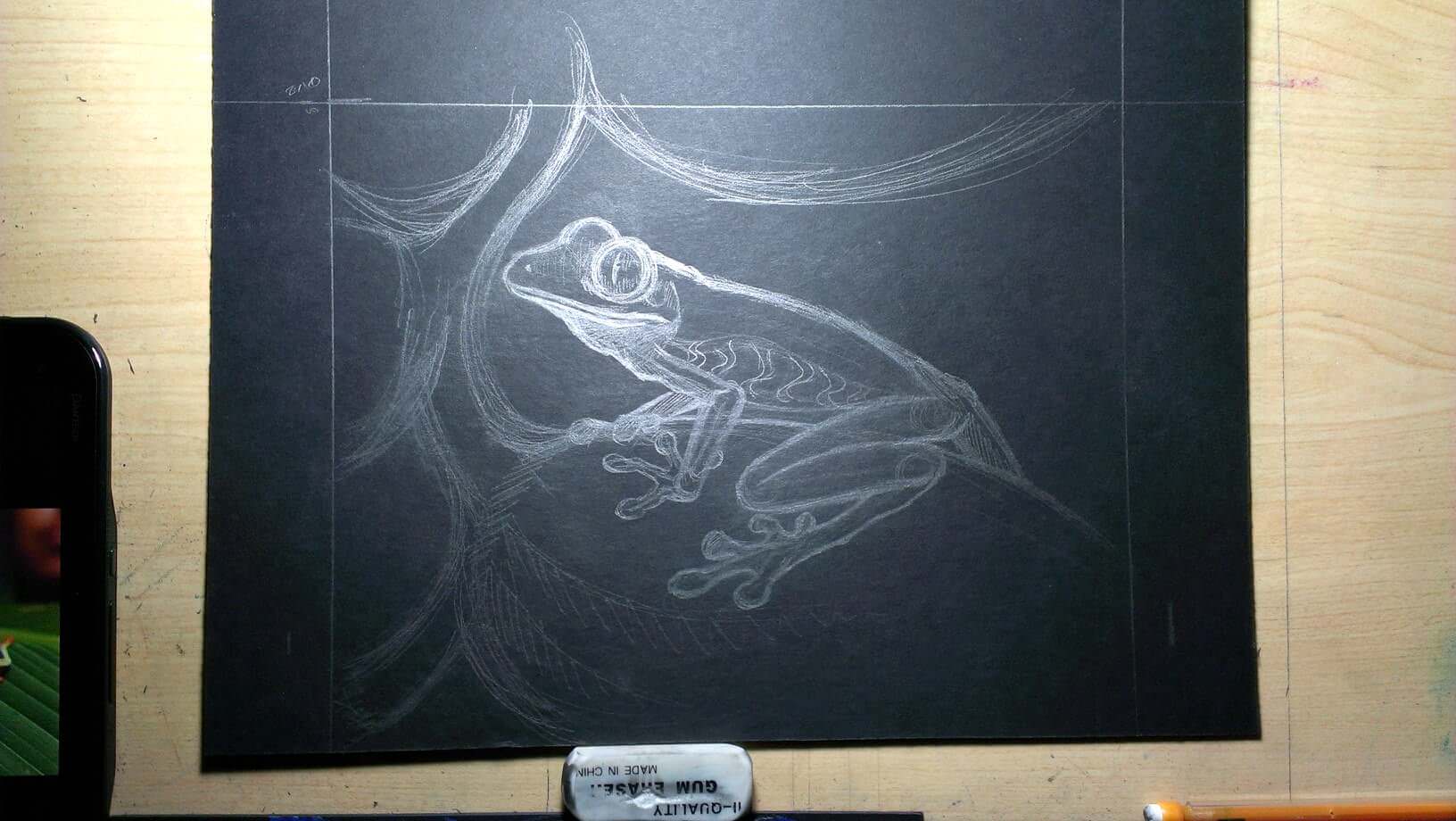 1632x920 Red Eyed Tree Frog - Red Eyed Tree Frog Sketch