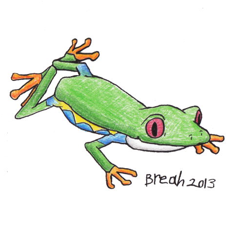 480x480 Tree Frog - Red Eyed Tree Frog Sketch