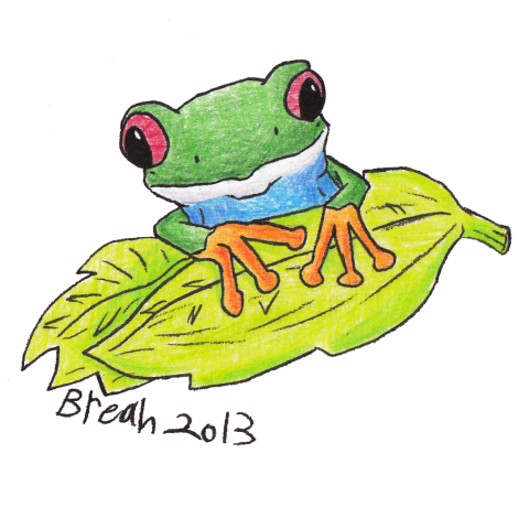 480x480 Tree Frog Art By Breah - Red Eyed Tree Frog Sketch
