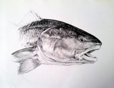 400x309 Fire Fly Fisherman Redfish - Red Fish Sketch