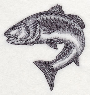 289x303 Machine Embroidery Designs - Red Fish Sketch