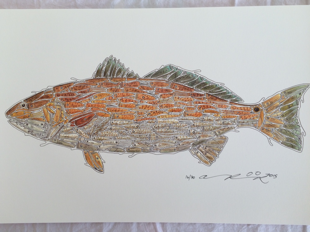 1000x750 Prints Abraham Pieciak - Red Fish Sketch