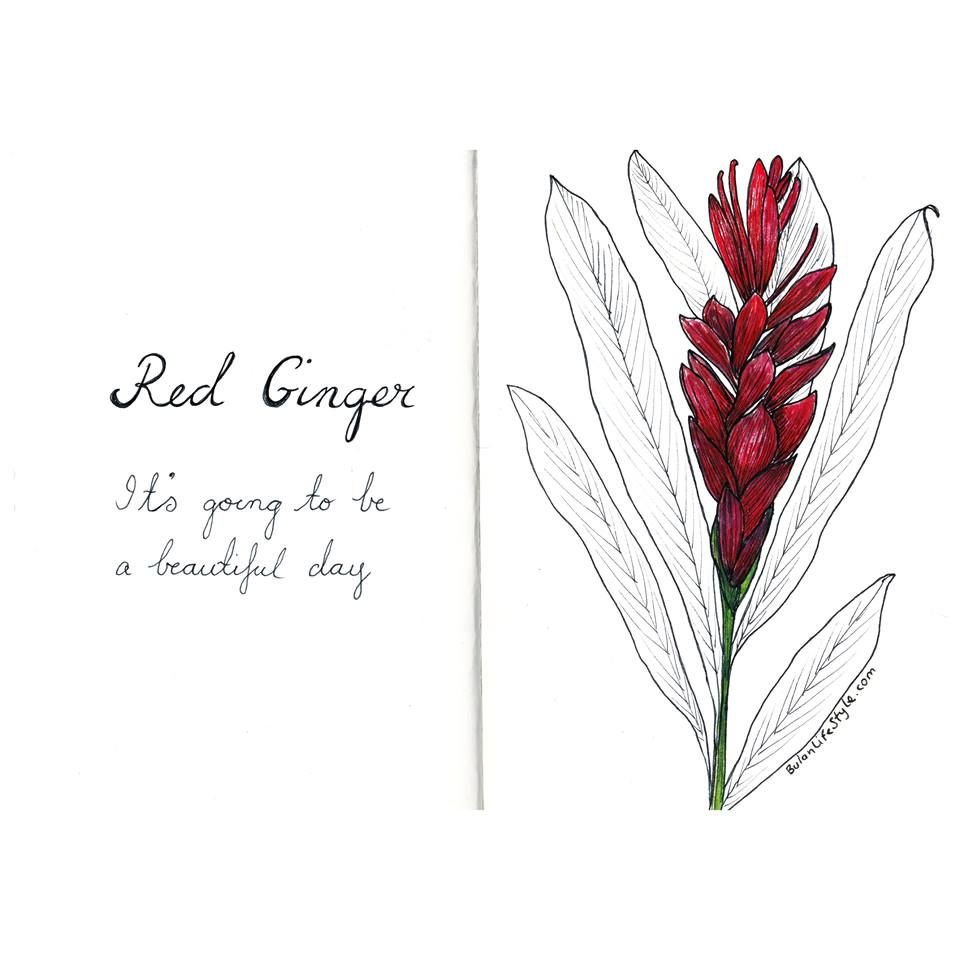 960x960 Sketch Of The Day No 741 In My Daler Rowney Art Journal Red - Red Flower Sketch