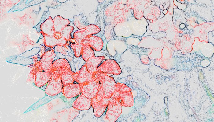 700x401 Spring Red Flowers Pillow Sham By Nileshkikuuchise Society6 - Red Flower Sketch