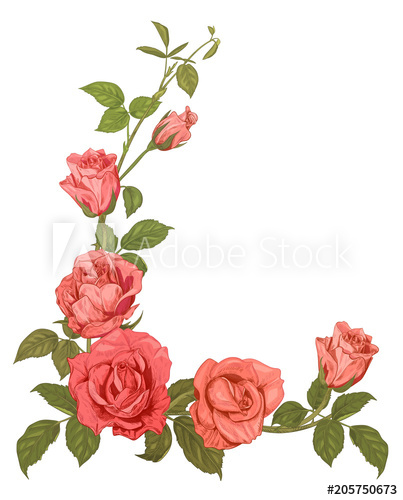 403x500 Branches Pink Roses, Bouquet With Pink, Red Flowers, Buds, Green - Red Flower Sketch